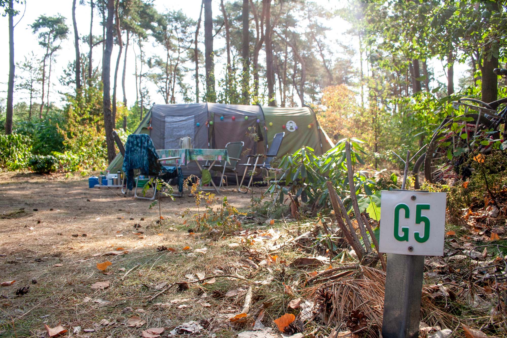 Naturistencamping De Krösenberg — photo 4