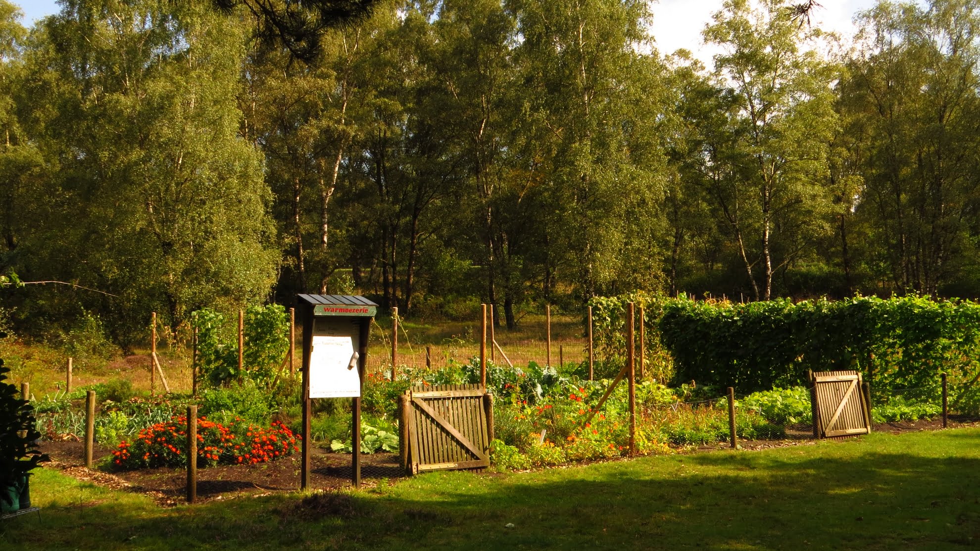 Naturistencamping De Krösenberg — photo 7